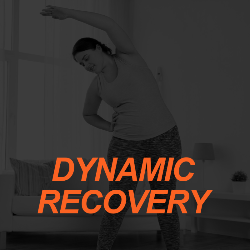 DYNAMIC RECOVERY IMAGE