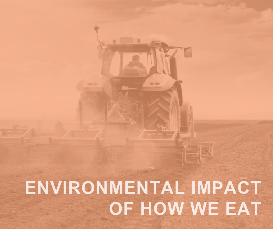ENVIRONMENTAL