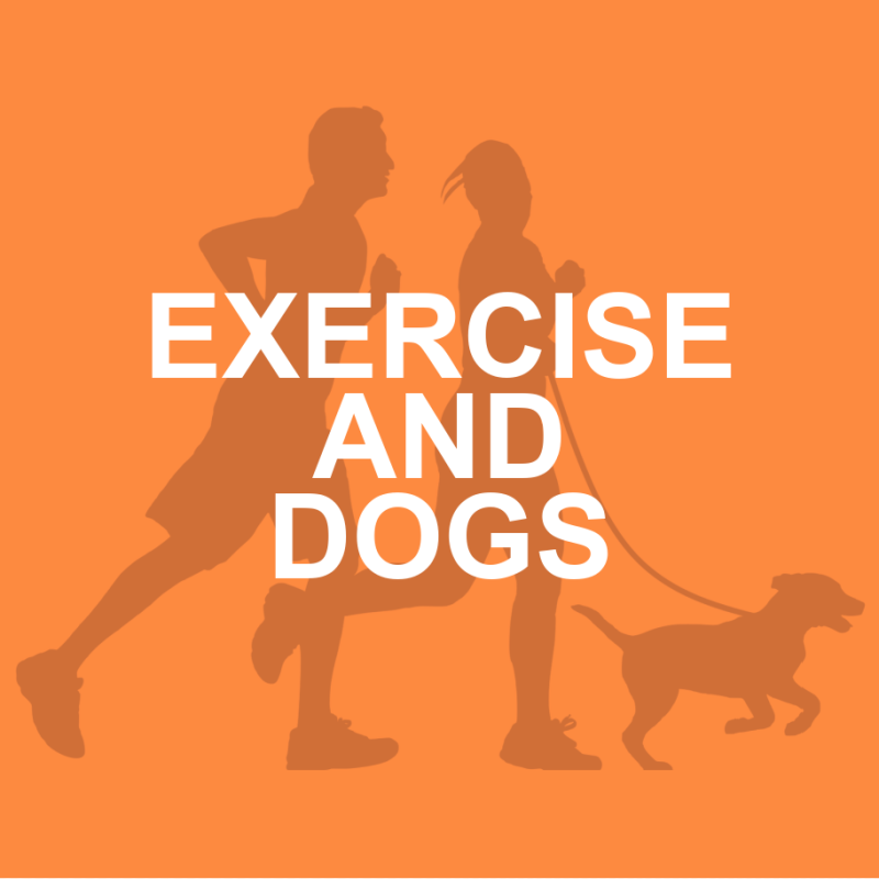 EXERCISE AND DOGS