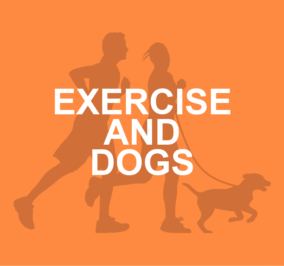 EXERCISE AND DOGS