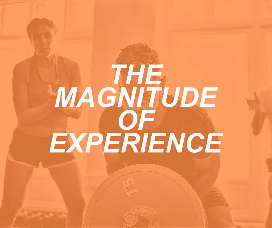 The Magnitude of Experience: What We Can’t Learn in Books