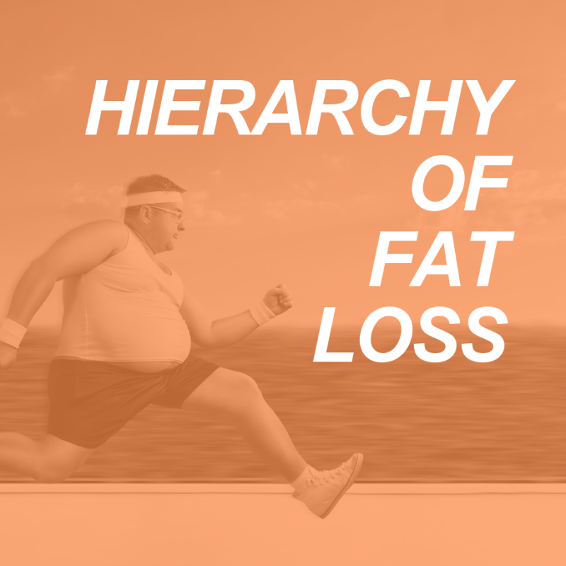 The Physiology of Fat Loss: Understanding the Hierarchy 2 FAT LOSS