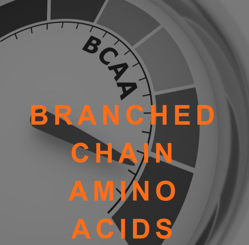BCAAs: Paradoxical Effect on Metabolism 2 FEATURED BCAA
