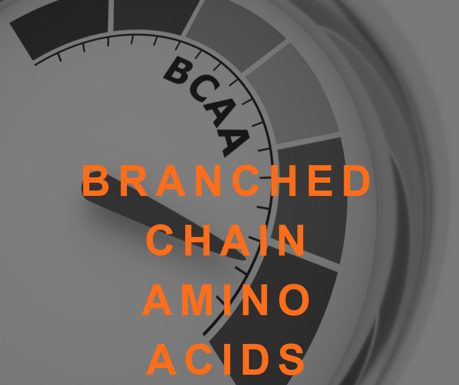 BCAAs Paradoxical Effect on Metabolism