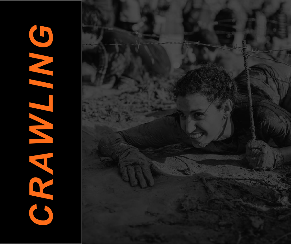 FEATURED Crawling