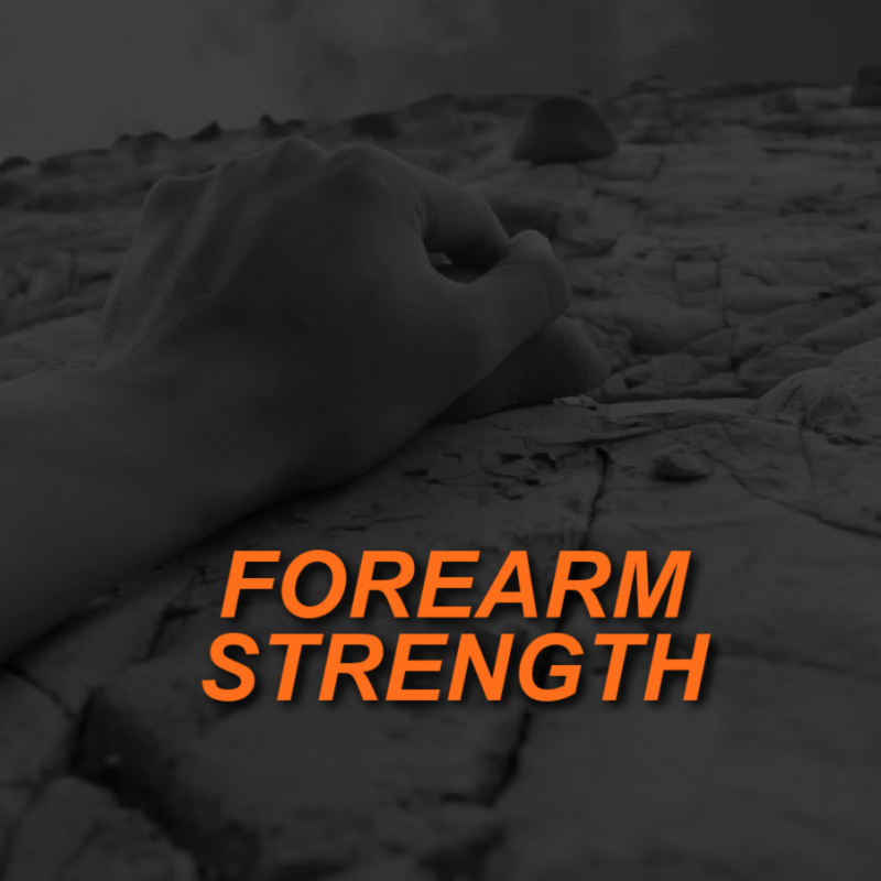 FOREARM STRENGTH