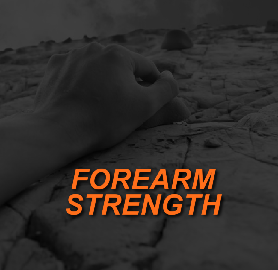 FOREARM STRENGTH