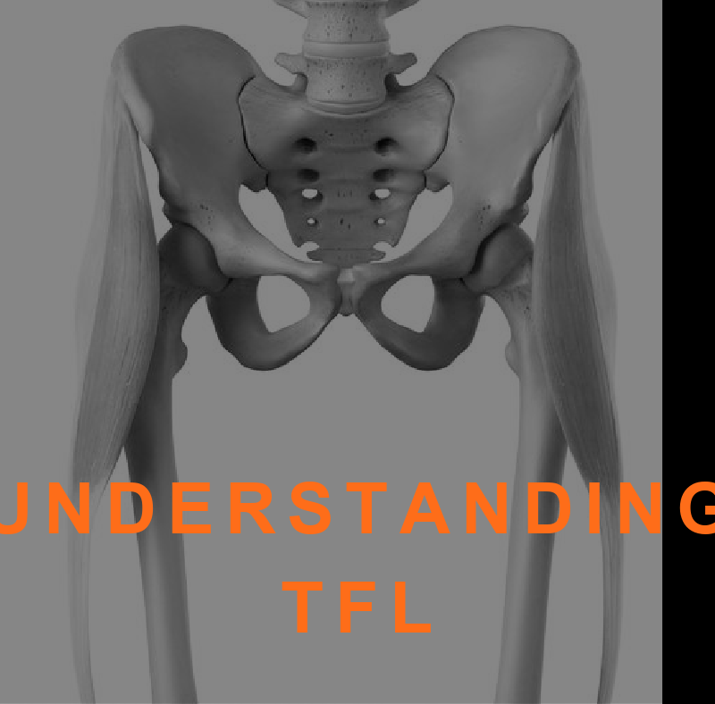 tensor fasciae latae TFL