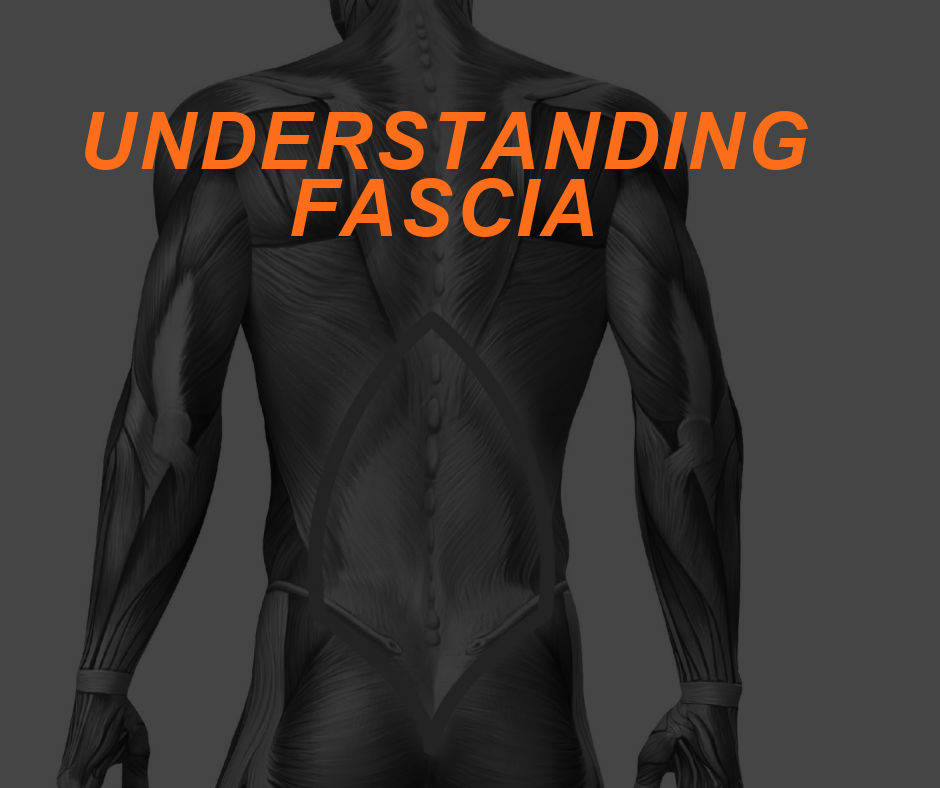 Featured Image FASCIA
