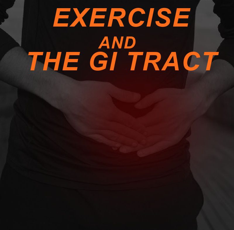 Exercise and the Gastrointestinal System: How Digestion is Affected by Movement 2 Featured Image GI TRACT
