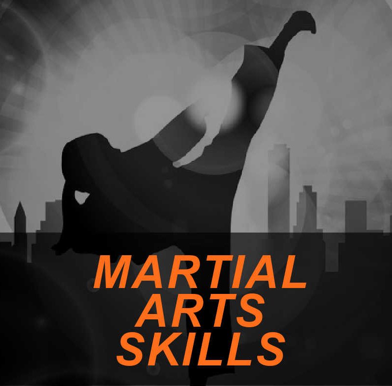 Featured Image MARTIAL ARTS SKILLS