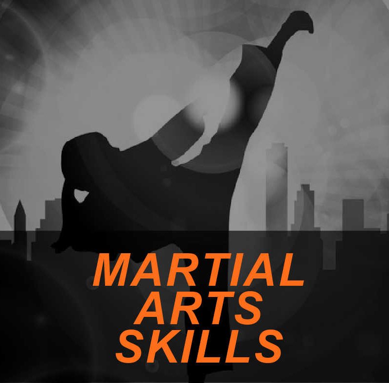 Developing Martial Arts Skills 2 Featured Image MARTIAL ARTS SKILLS