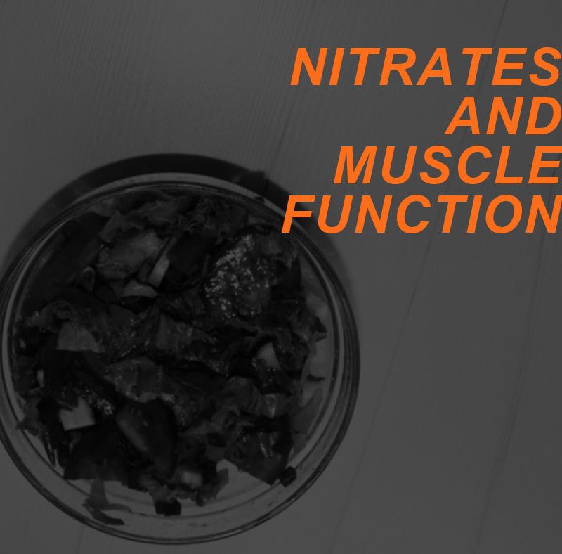 How Veggie-Based Nitrates Enhance Muscle Function 2 Featured Image NITRATES