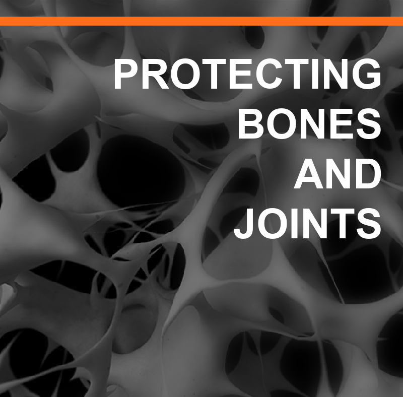 Featured Image BONES AND JOINTS