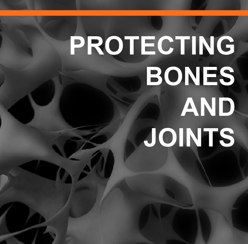 Protecting Bones and Joints (PB&J) 2 Featured Image BONES AND JOINTS