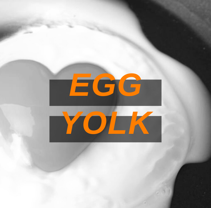 Cracking the Egg Yolk Debate 2 Featured Image Egg Yolk