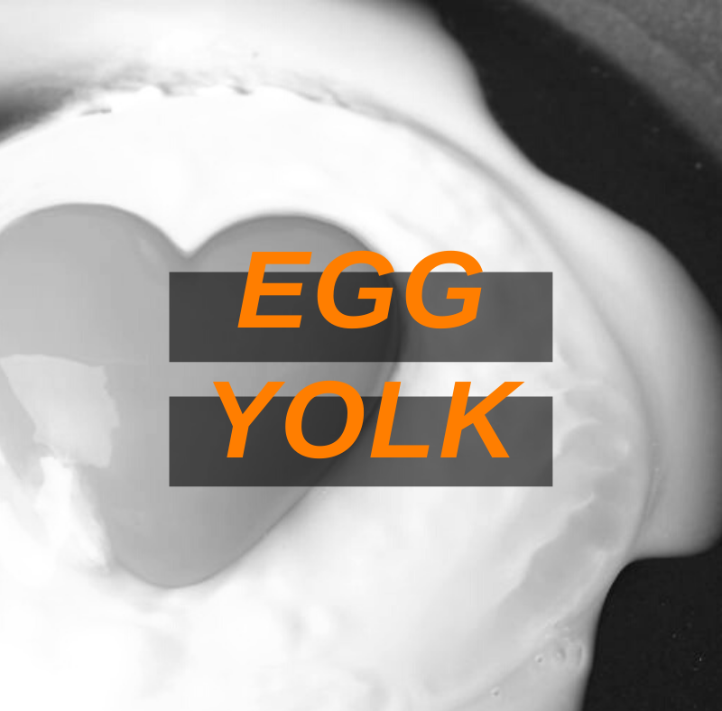 Featured Image Egg Yolk