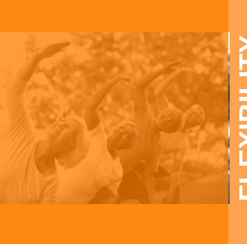 Developing Flexibility for Fitness and Better Living 2 Featured Image Flexibility