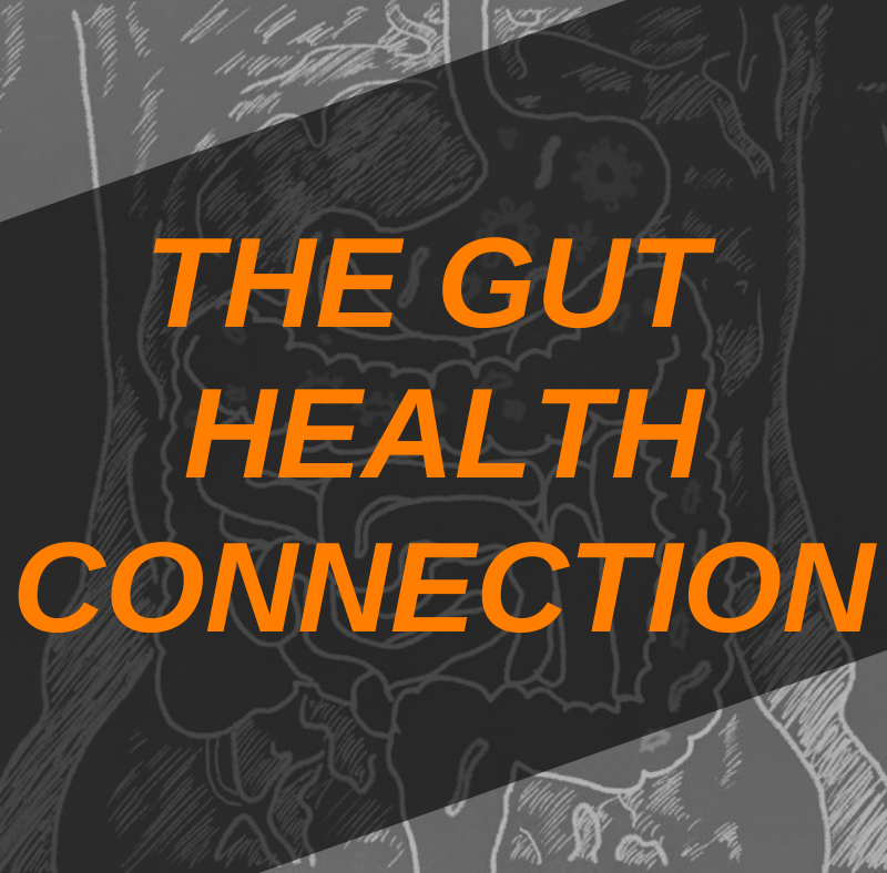 Featured Image Gut Health Connection