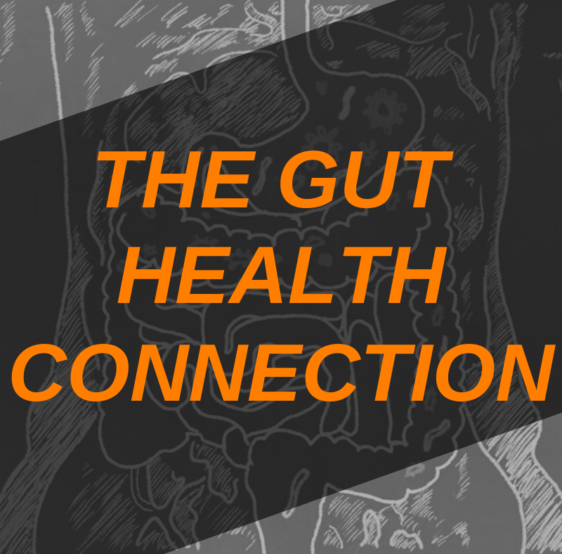 gut microbiome