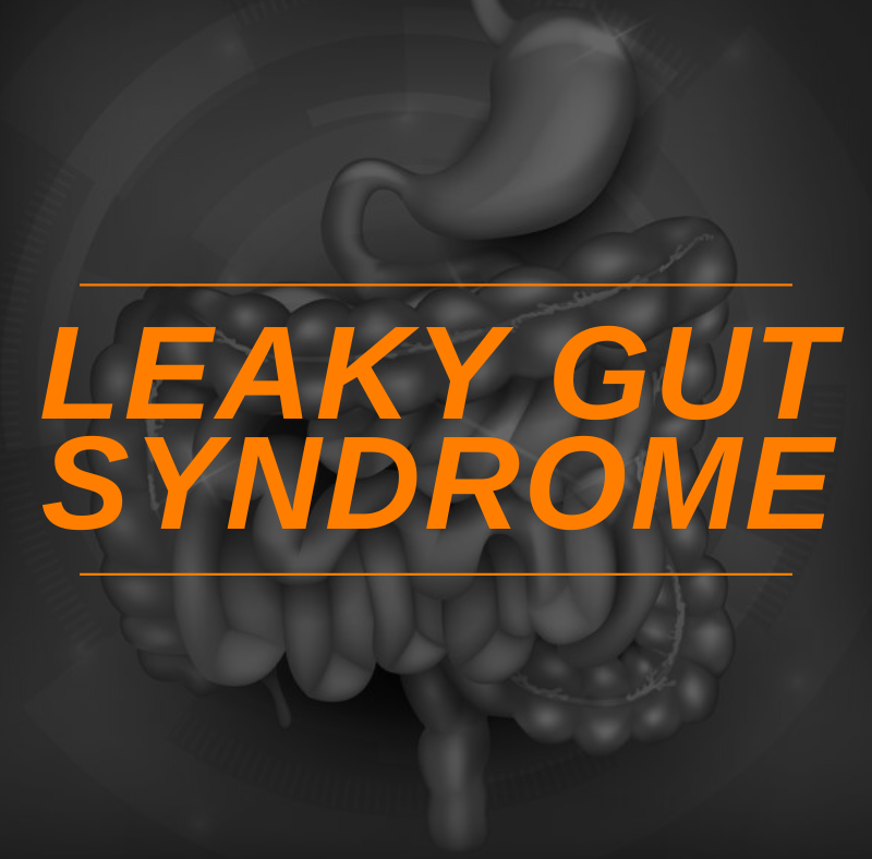 Featured Image Leaky Gut Syndrome