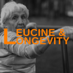 Featured Image Leucine And Longevity