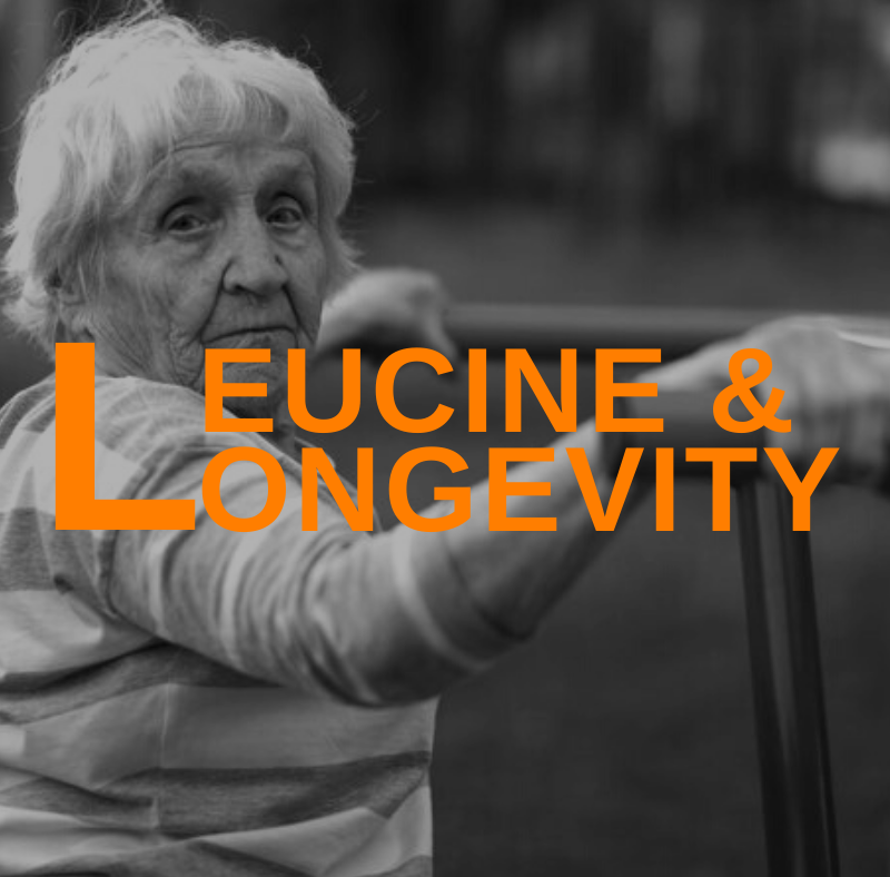 Featured Image Leucine And Longevity