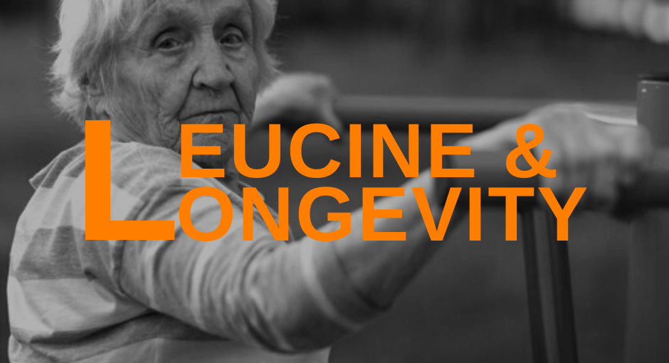 Featured Image Leucine And Longevity