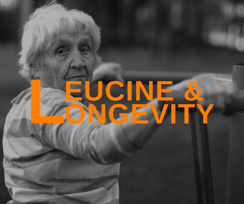 Featured Image Leucine And Longevity