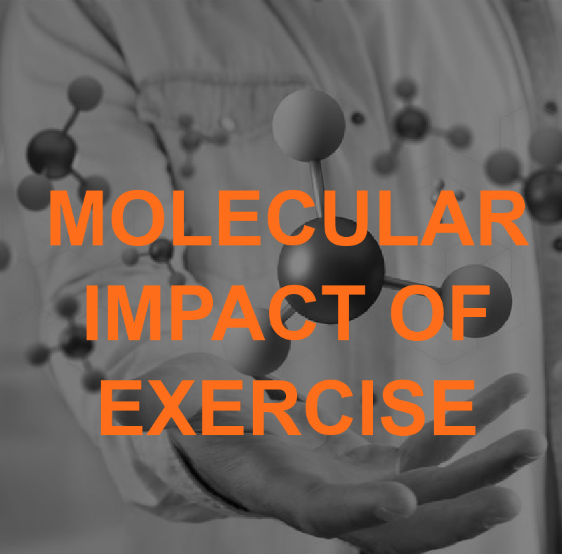 Molecular Magic: Behind-the-Scenes Benefits of Exercise 2 Featured Image MOLECULAR