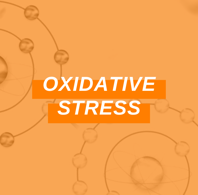 Featured Image Oxidative Stress