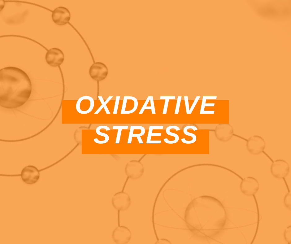 Featured Image Oxidative Stress