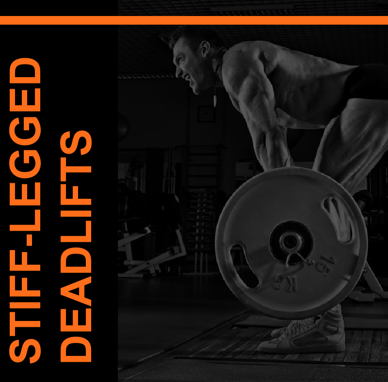 Featured Image STIFF LEGGED DEADLIFTS