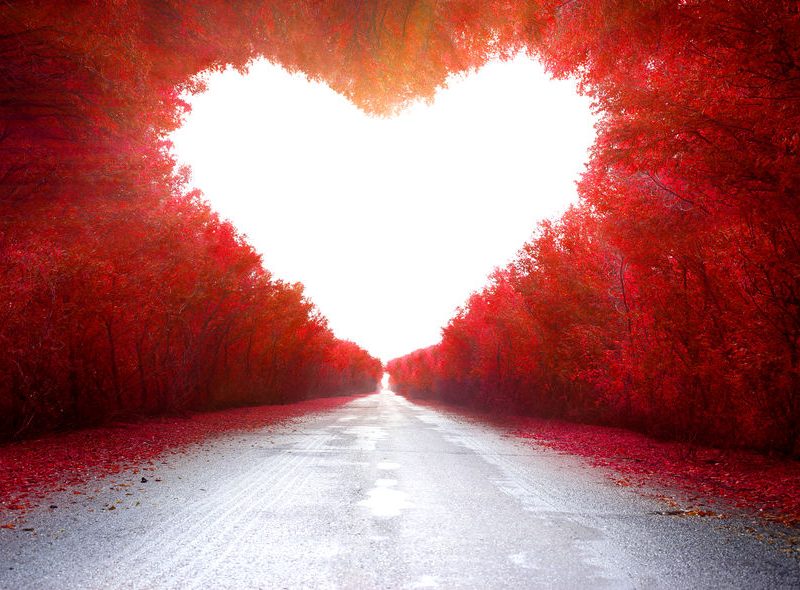Road To Love