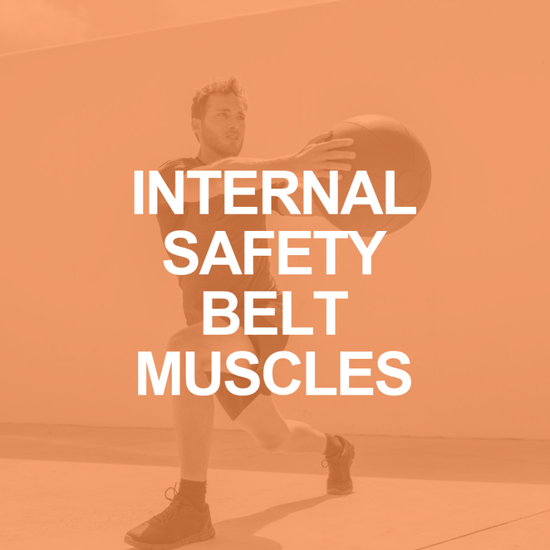 TVA and IO Muscles: The Internal Safety Belt 2 INTERNAL SAFETY BELT