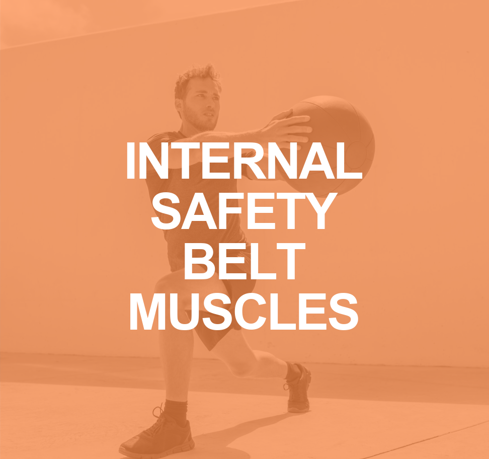 TVA and IO Muscles: The Internal Safety Belt 2 INTERNAL SAFETY BELT