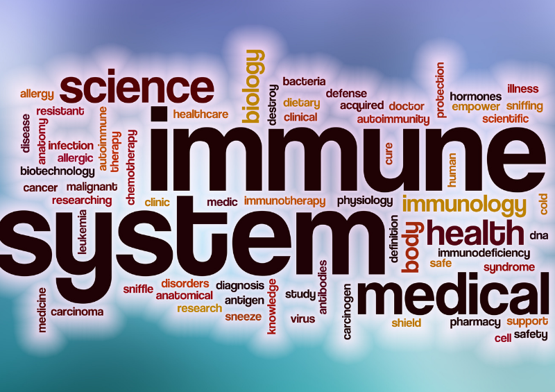 Immune System Feature