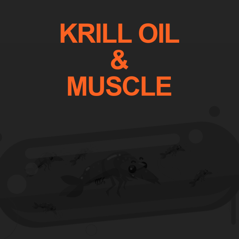 Enhance Muscular Strength with Krill Oil 2 KRILL OIL