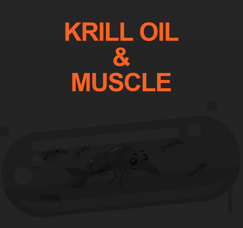 KRILL OIL