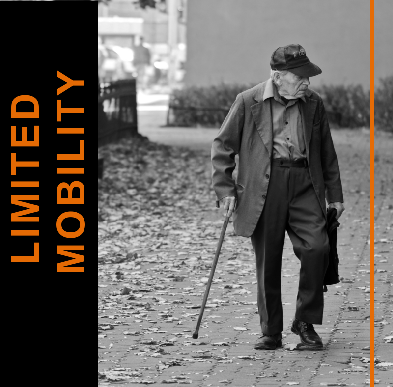 Working with Limited Mobility Clients: Tips and Tricks 2 LIMITED MOBILITY