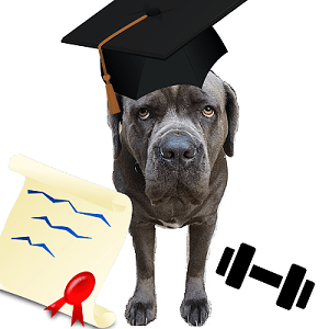 Personal Training Certification is NOT a Scam 2 Lucy certified2 1