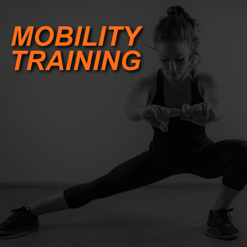 MOBILITY TRAINING