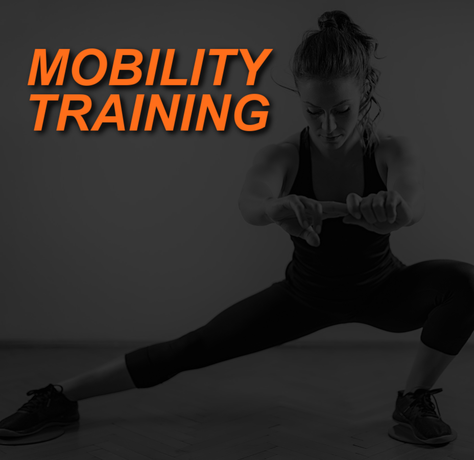 MOBILITY TRAINING