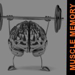 MUSCLE MEMORY FEATURED