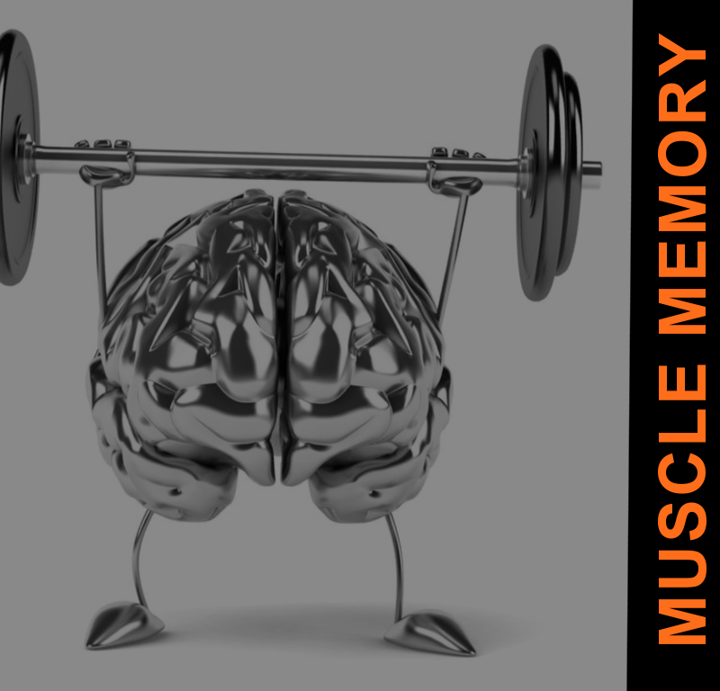 MUSCLE MEMORY FEATURED