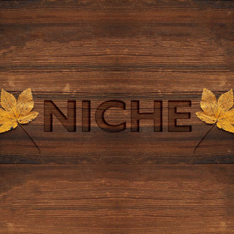 Starting a Niche Gym 2 niche