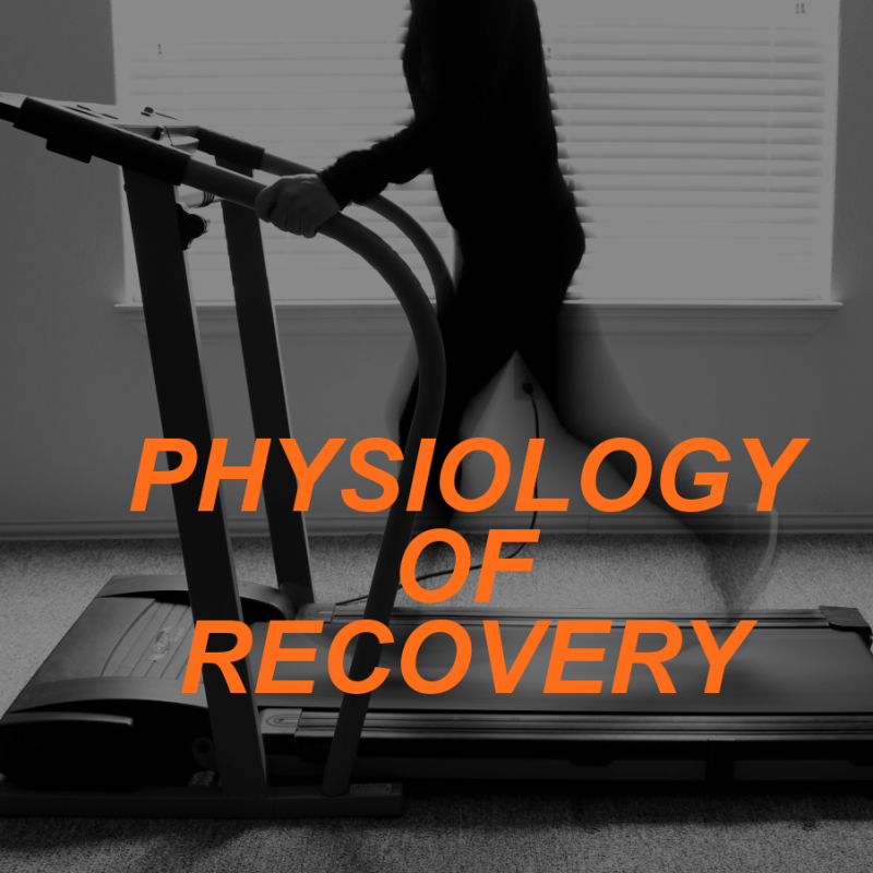 PHYSIOLOGY OF post-exercise RECOVERY