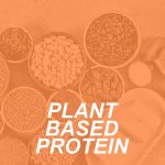 PLANT BASED PROTEIN