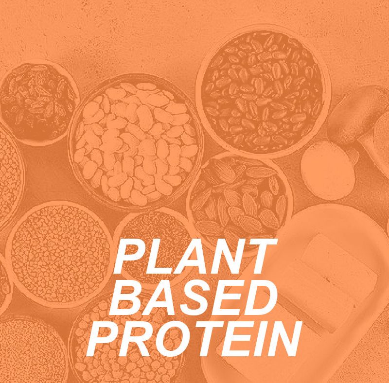 PLANT BASED PROTEIN