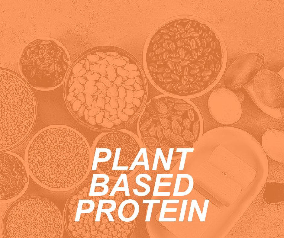The Perks of Plant-Based Protein